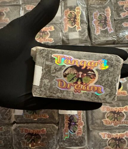 tangeri dream filtred