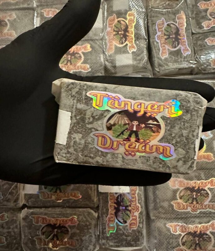 tangeri dream filtred