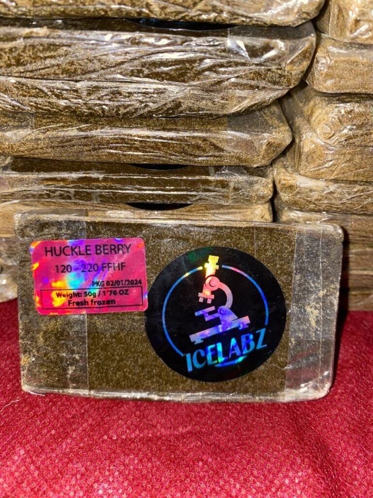 cmfmhz6cy000004l2gumw955t