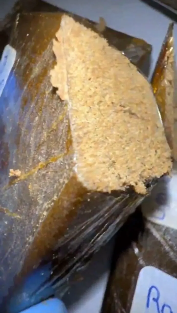 WhatsApp-Image-2025-03-17-at-20.45.03_eef51ed2-1