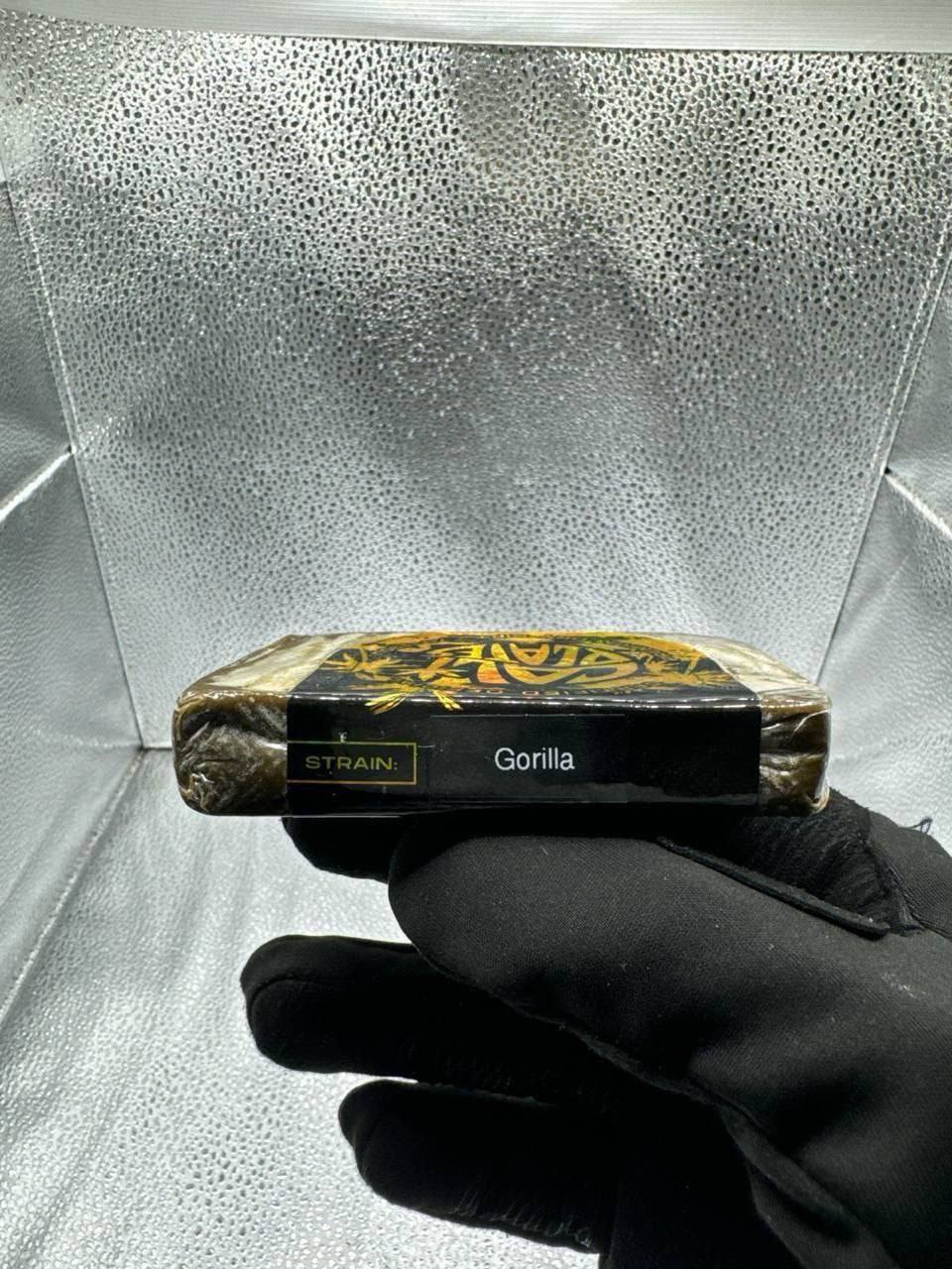 photo_2025-06-02-15.02.34