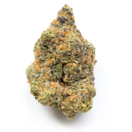 SFV Dog 3.5g