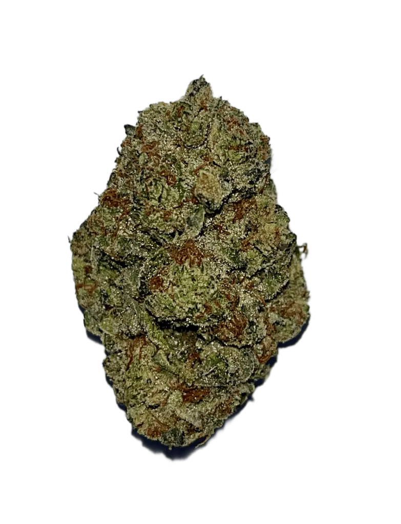 gelato_dog-783x1024-1.webp